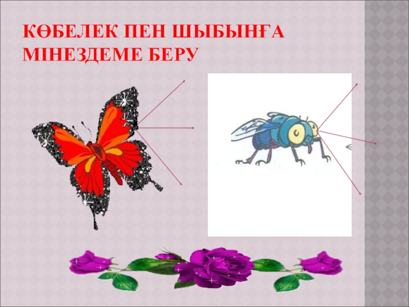 Презентация Шыбын мен көбелек әдебиеттік оқудан (4 сынып) КӨБЕЛЕК ПЕН ШЫБЫНҒА МІНЕЗДЕМЕ БЕРУ КӨБЕЛЕК ПЕН ШЫБЫНҒА МІНЕЗДЕМЕ БЕРУ