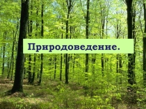 Презентация по природоведению на тему: Весна. Природа пробуждается