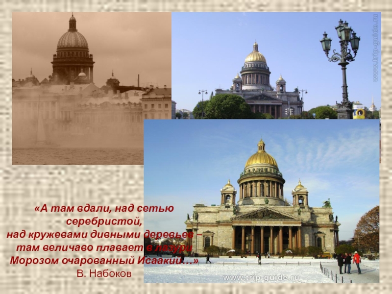 Презентация по литературе на тему Поэтические этюды о каменном городе (9 класс) «А там вдали, над сетью серебристой, над кружевами дивными деревьев – «А там вдали, над сетью серебристой, над кружевами дивными деревьев – там величаво плавает в лазури
