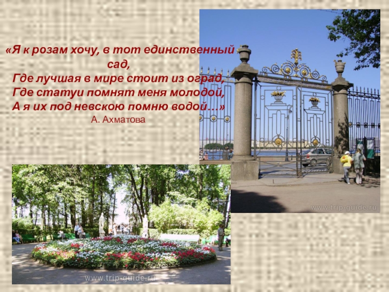 Презентация по литературе на тему Поэтические этюды о каменном городе (9 класс) «Я к розам хочу, в тот единственный сад, Где лучшая в «Я к розам хочу, в тот единственный сад, Где лучшая в мире стоит из оград, Где статуи