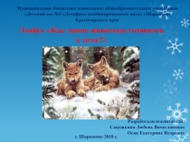 Лэпбук Как дикие животные готовятся к зиме?