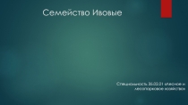 Презентация по теме: Ивовые для СПО