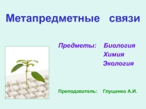 Метапредметные связи в учебной деятельности ОУ СПО