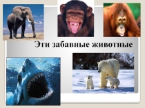 Презентация по теме Имя числительное (обобщение) 6 класс