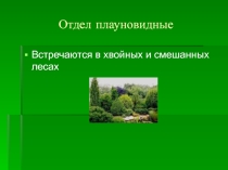 Презентация по биологии на тему Отдел Плауновидные