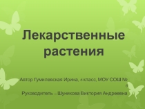 Презентация Лекарственные растения (домашние целители).