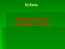 Презентация по окружающему миру
