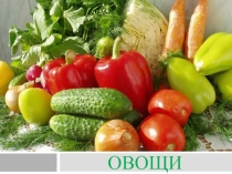 Презентация по Технологии на тему Овощи (5 класс)