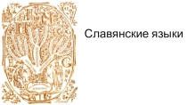 Презентация по русскому языку на тему Славянские языки
