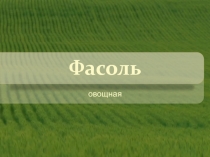Презенатции по биологии на тему Значение бобовых. Фасоль овощная (6 класс)