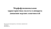 Презентация по дисциплине Анатомия и физиология человека на тему: Морфофункциональная характеристика скелета и аппарата движения верхних конечностей