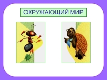 Презентация Что вокруг нас может быть опасным?