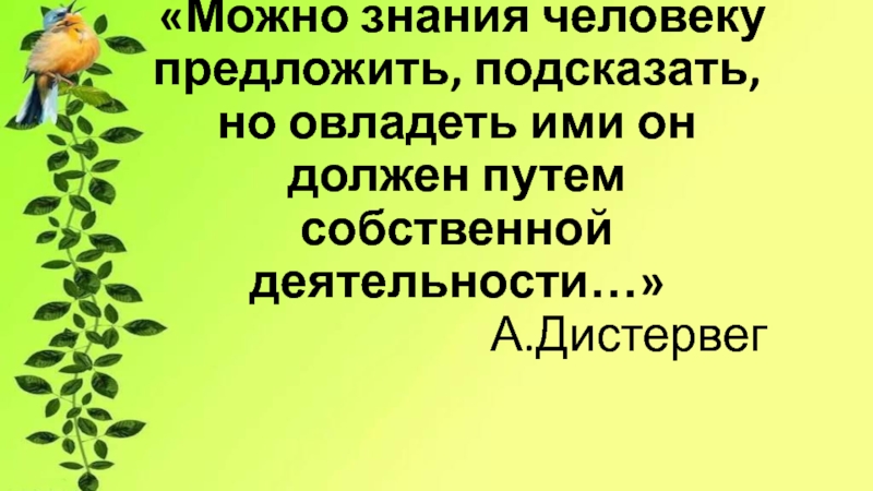 Презентация по биологии на тему Вегетативное размножение покрытосеменных растений (6 класс)