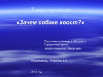 : Зачем собаке хвост