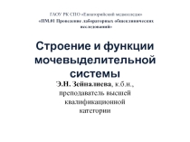 Презентация по ПМ.01 на тему: СТРОЕНИЕ МОЧЕВЫДЕЛИТЕЛЬНОЙ СИСТЕМЫ