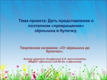 От зёрнышка до булочки