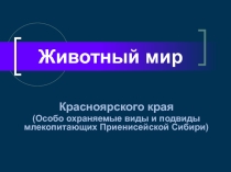 Презентация по экологии Красноярского края на тему Животные
