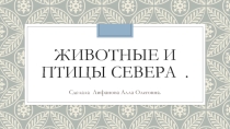 Презентация Животные и птицы севера