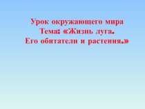 Презентация по окружающему миру 2 класс по теме Луг. Растения и животные луга, программа Начальная школа XXI века
