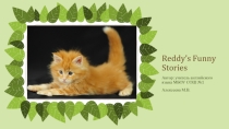 Упражнения для работы с главой 11 книги по внеклассному чтению Reddy's Funny Stories
