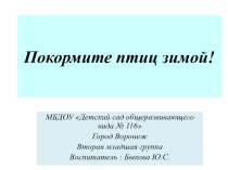 Презентация по ознакомлению с окружающим миром во второй младшей группе на тему Покормите птиц зимой