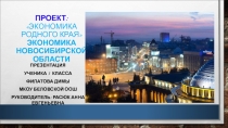 Проект Экономика Новосибирской области
