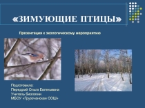 Электронный образовательный ресурс Зимующие птицы
