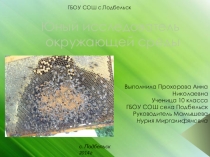 Исследование меда