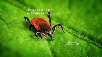 Презентация по окружающему миру на тему: Таёжный клещ