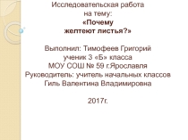 Презентация исследовательской работы Почему желтеют листья