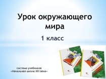 Презентация по окружающему миру на тему Явления природы (1 класс)