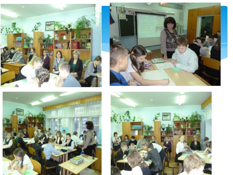 Портфолио