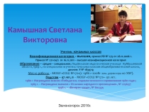 Портфолио