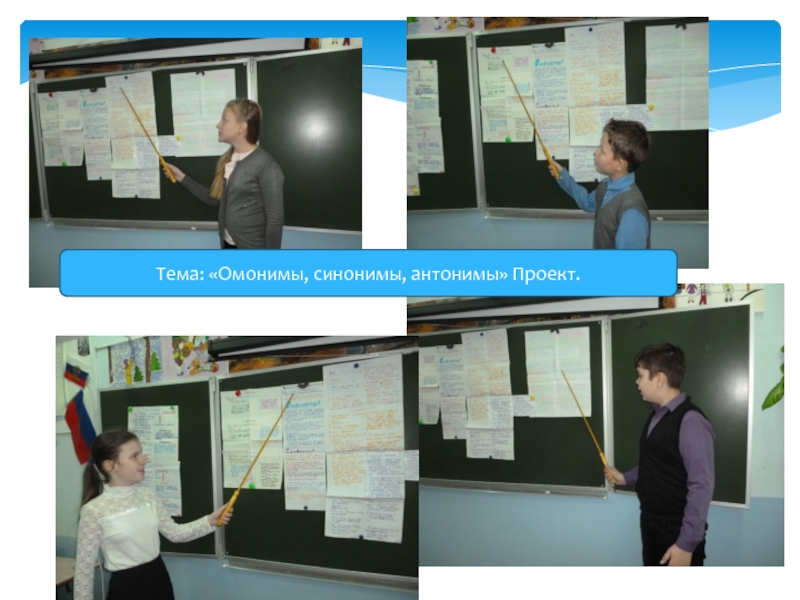 Портфолио Тема: «Омонимы, синонимы, антонимы» Проект. Тема: «Омонимы, синонимы, антонимы» Проект.