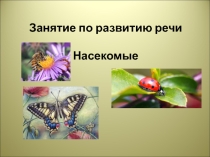 Занятие по развитию речи. Насекомые