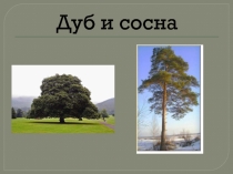 Удивительное рядом