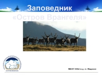 Презентация к внеклассному мероприятию Заповедник Остров Врангеля