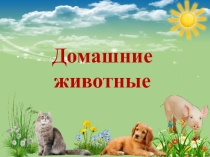 Презентация по окружающему природному миру Домашние животные