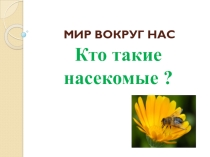 Презентация по окружающему миру на тему Кто такие насекомые? (1 класс)
