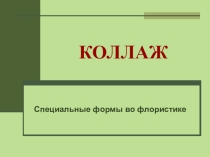 Использование природного материала в технике плоскостного коллажа