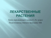 Презентация по окружающему миру на тему Лекарственные растения(2 класс)