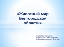 Презентация по окружающему миру на тему Животный мир Белгородской области