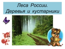 Презентация в подготовитнльной группе на лексическую тему Леса России. Деревья и кустарники