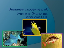 Презентация по биологии по теме Внешнее строение рыбы 7 класс