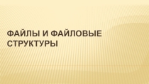 Презентация по информатикеФайлы и файловые структуры(7 класс)