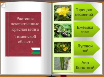 Презентация к уроку окружающего мира в 3 классе по теме Вегетативное размножение растений