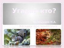 ознакомление с окружающим миром