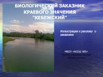 Заказник Кебежский