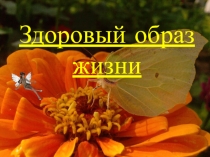Презентация внеклассного мероприятия Беседа здоровый образ жизни