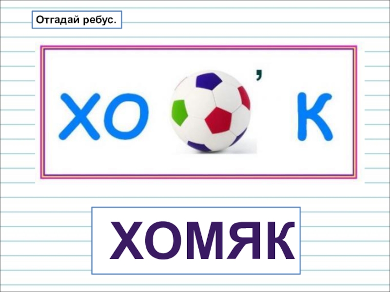 Презентация для уроков русского языка по развитию речи Отгадай ребус. хомяк Отгадай ребус. хомяк